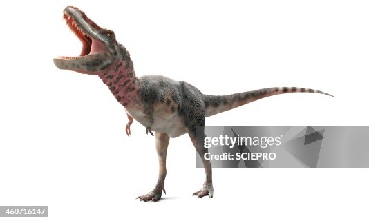 Tarbosaurus dinosaur, artwork Tarbosaurus dinosaur, artwork