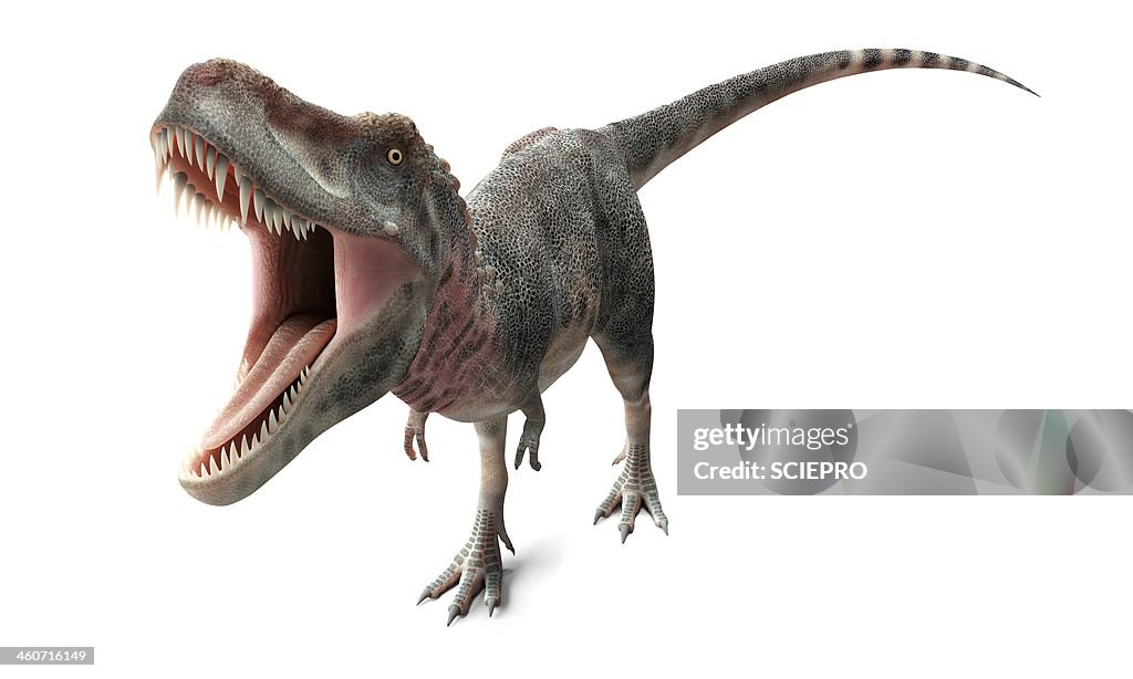 Tarbosaurus dinosaur, artwork