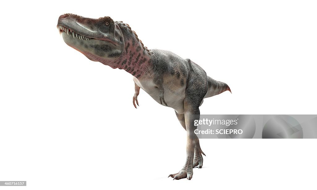 Tarbosaurus dinosaur, artwork