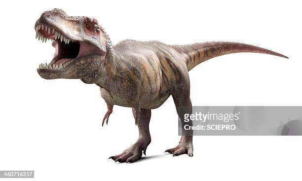  fotos e imágenes de Tiranosaurio - Getty Images