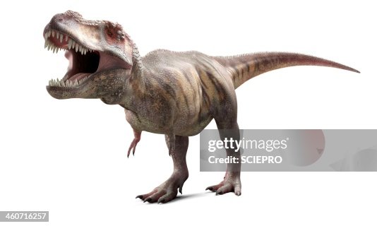 T-Rex, artwork T-Rex, artwork