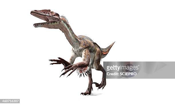 utahraptor dinosaur, artwork - dromaeosauridae 幅插畫檔、美工圖案、卡通及圖標