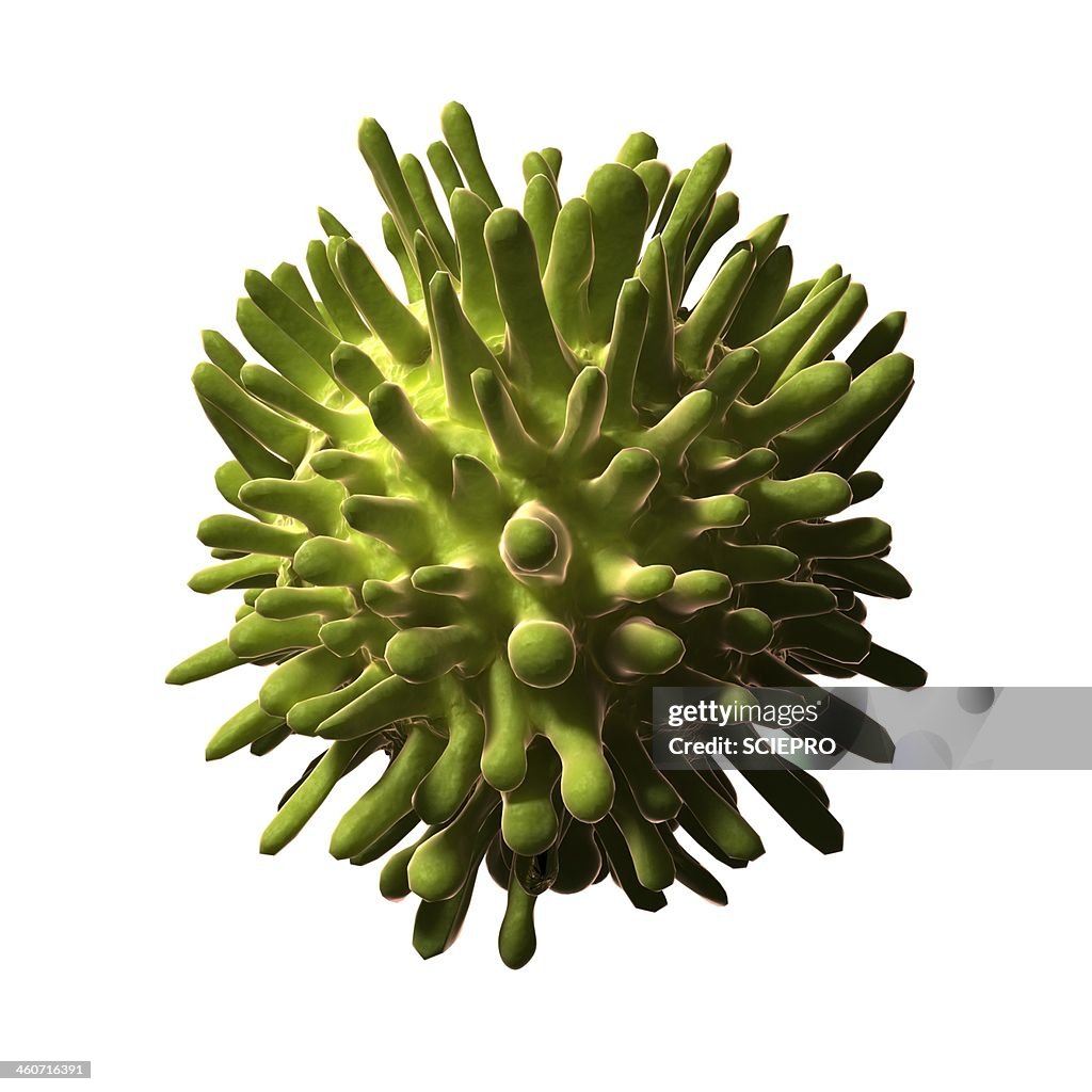 Hepatitis C, artwork