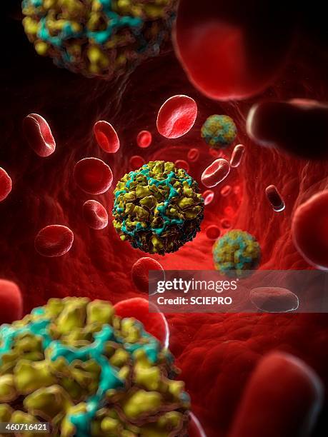 Inside A Rhinovirus Rhinovirus Photos and Premium High Res Pictures - Getty Images