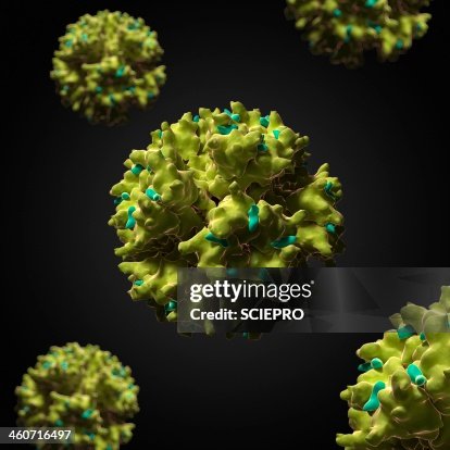 Adenovirus, artwork Adenovirus, artwork