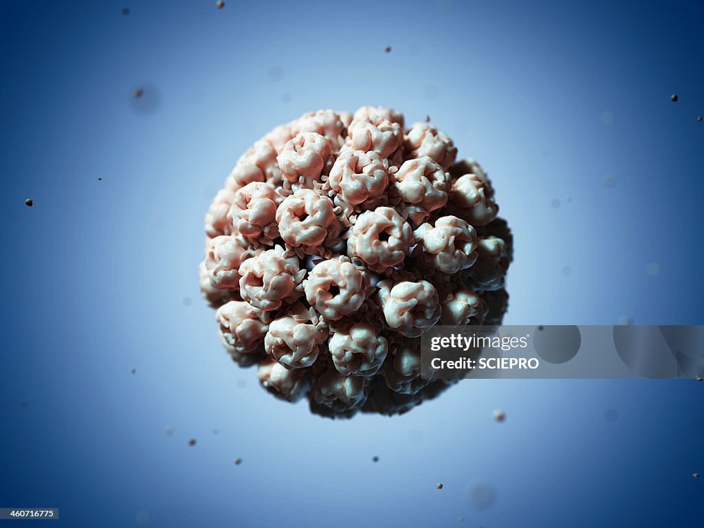 Simian virus 40 particle, artwork