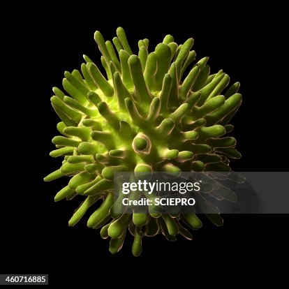 Hepatitis C, artwork Hepatitis C, artwork