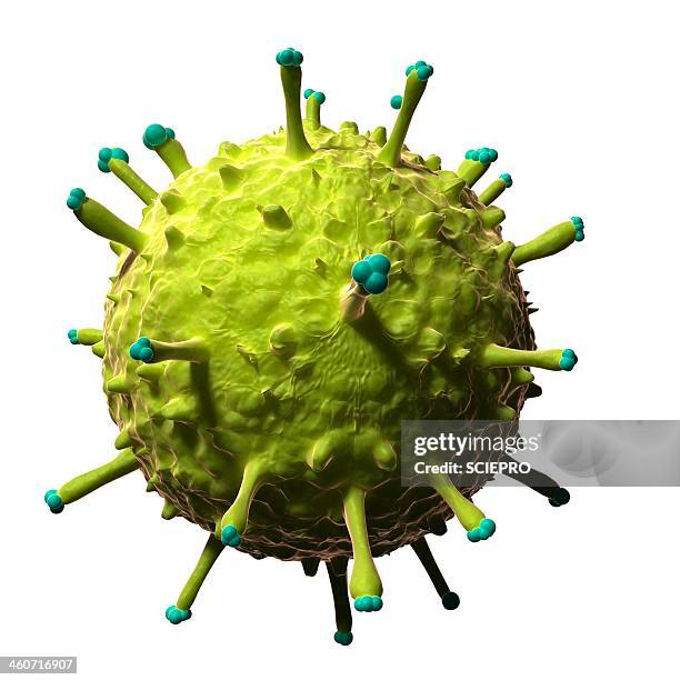 swine flu, artwork - germs stock illustrations