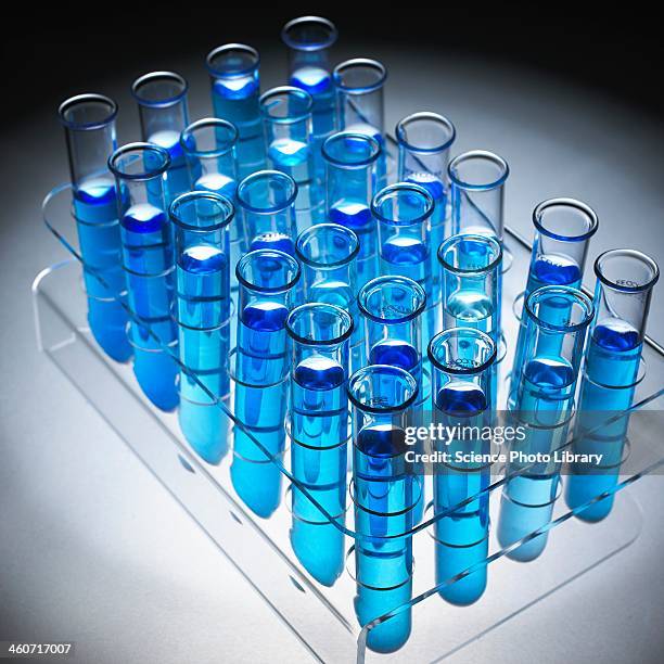 test tubes - rack stock pictures, royalty-free photos & images