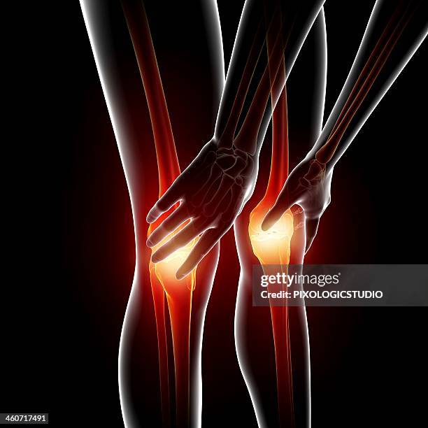 352 Knee Close Up High Res Illustrations - Getty Images