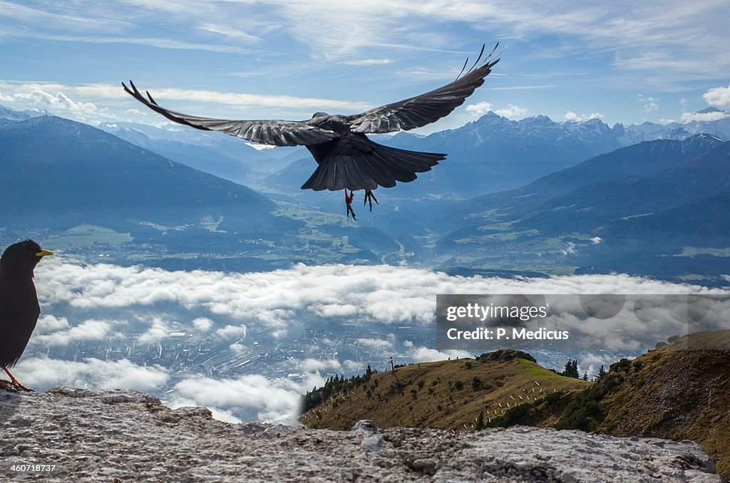 Craw launches at Seegrube, above Innsbruck