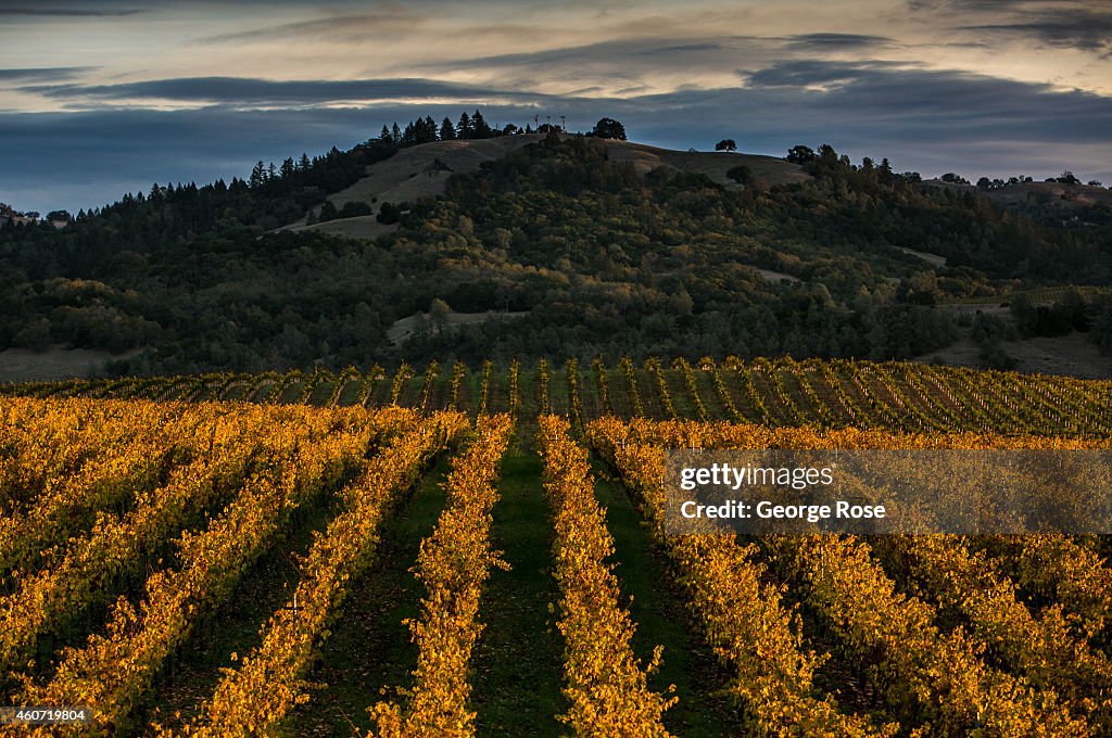 Exploring California's Sonoma County Wine Country