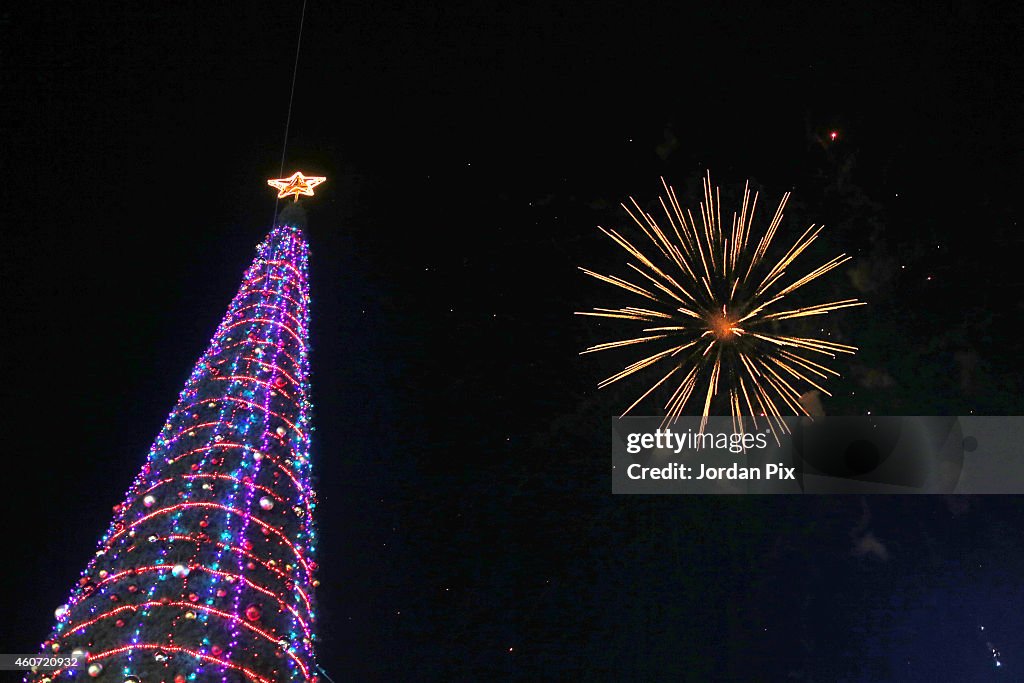 Christmas Tree Lightening In Jordan