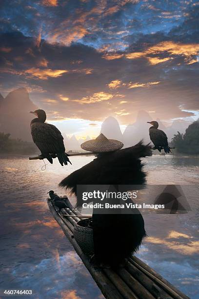 chinese fisherman with cormorant - guilin - fotografias e filmes do acervo