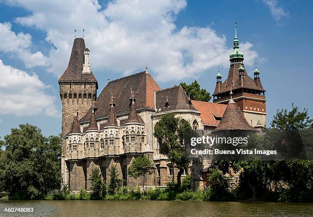 vajdahunyad castle, city park, - vajdahunyad castle stockfoto's en -beelden