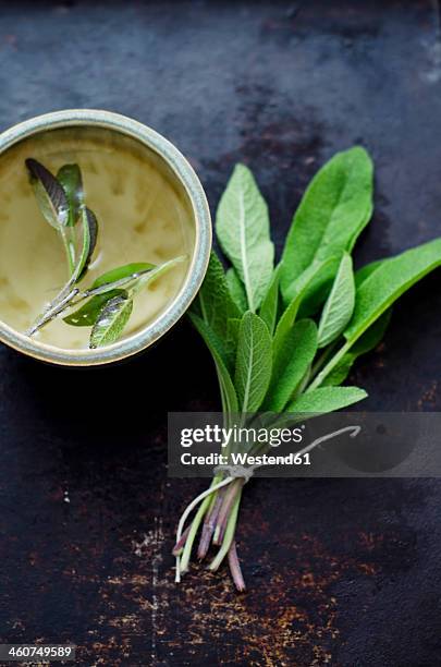 sage tea in small cup with bunch of sage leaves - sage stockfoto's en -beelden