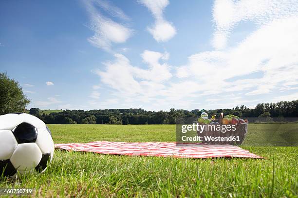 germany, cologne, picnic basket and soccer ball in meadow - レジャーシート ストックフォトと画像