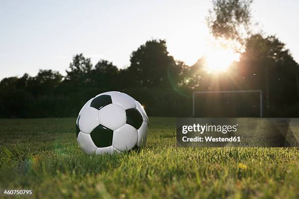 germany, cologne, soccer ball on football field - football field ストックフォトと画像