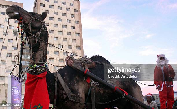 Man wearing Santa Claus costume rides on a camel driven cart as he attends a demonstration in Karachi, Pakistan, on December 21, 2014 to condemn the...
