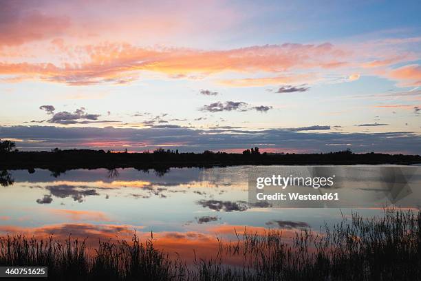 france, view of saltwater lagune at sunset - camargue photos et images de collection