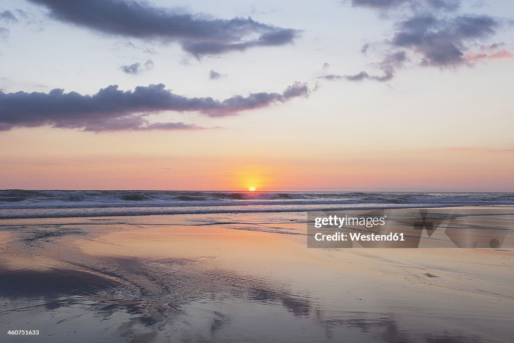 New Zealand, View of Piha Beach at sunset