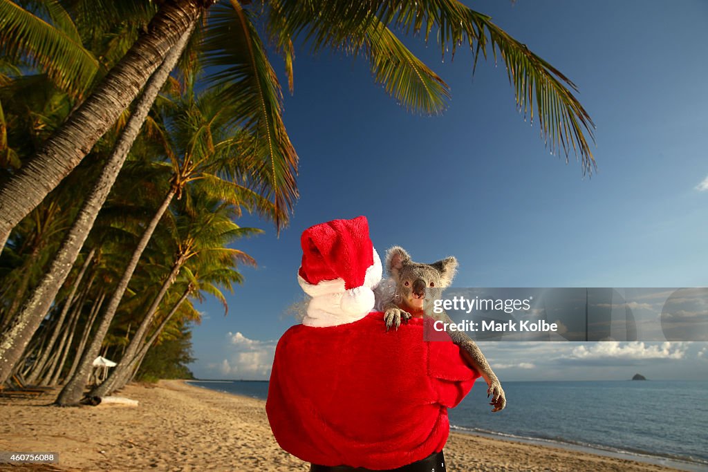 Christmas In Queensland