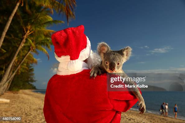 Christmas In Queensland Christmas In Queensland