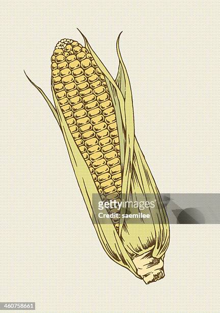 corn - husk 幅插畫檔、美工圖案、卡通及圖標