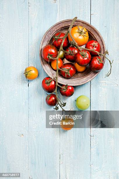 mix di pomodori freschi - cherry tomato foto e immagini stock