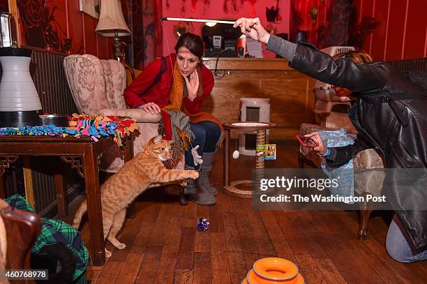 Mindy Shiben, of Rockville, left, looks on as Andrea Adlenan, right, of the District, holds a cat toy playing with adoption cat, Juliet, during the...