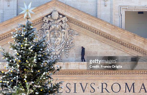 Marcello Di Finizio from Trieste, Italy stands on the tympanum of St. Peter's Basilica protesting against the European Union regulation, the...