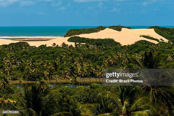 View over Pirambu beach dunes and vegetation which is a popular tourist destination in North-eastern Brazil.