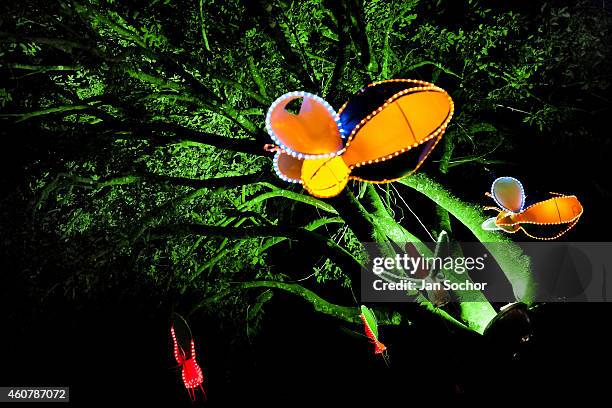 Colourful paper lanterns are displayed on a tree during the annual Festival of Candles and Lanterns on December 08, 2013 in Quimbaya, Colombia. A...