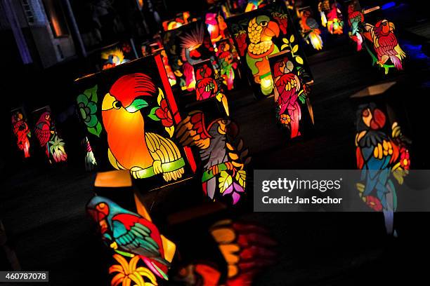 Colourful paper lanterns decorated with birds from tropical rainforest of Amazonia motives are displayed on the street during the annual Festival of...
