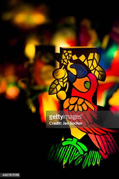 Colourful paper lanterns decorated with birds from tropical rainforest of Amazonia motives are displayed on the street during the annual Festival of...
