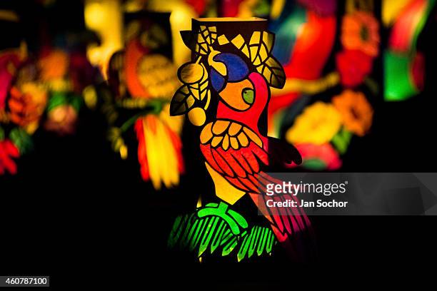 Colourful paper lanterns decorated with birds from tropical rainforest of Amazonia motives are display on the street during the annual Festival of...
