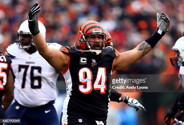 Defensive tackle Domata Peko of the Cincinnati Bengals celebrates a defensive stop against the San Diego Chargers during a Wild Card Playoff game at...