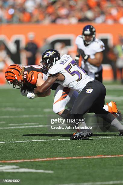 Mosley of the Baltimore Ravens makes the tackle on Ryan Hewitt of the Cincinnati Bengals during their game at Paul Brown Stadium on October 26, 2014...