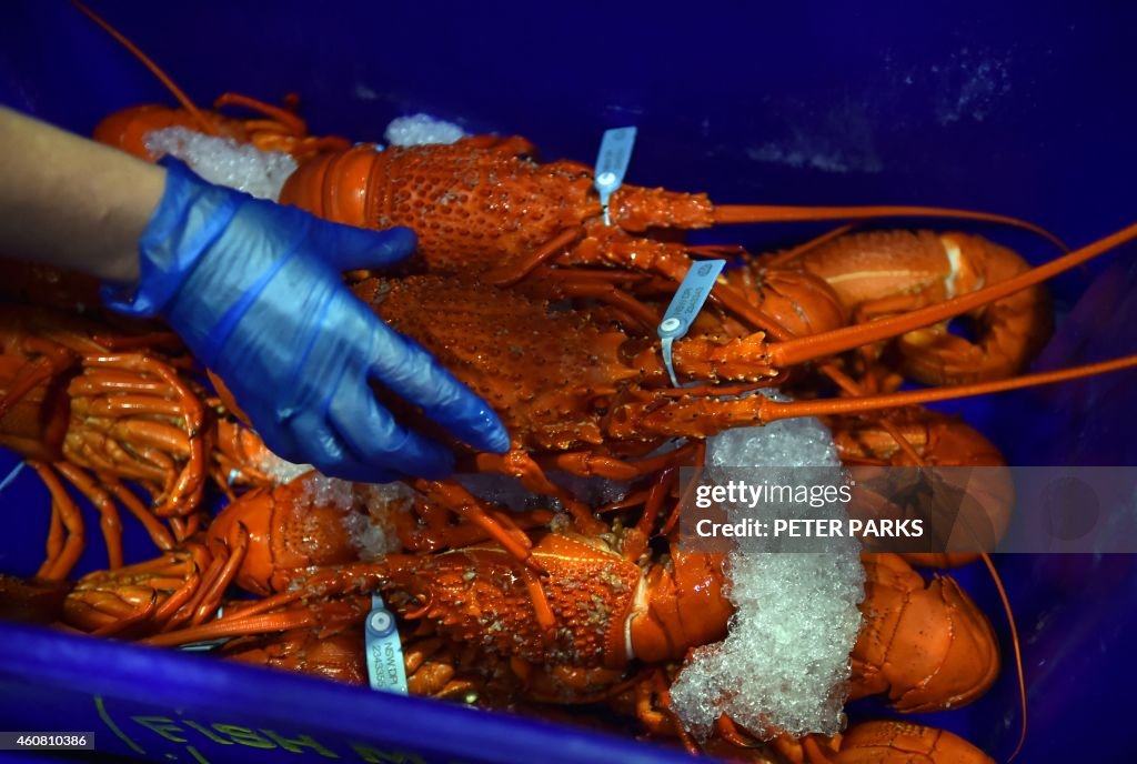 AUSTRALIA-HOLIDAY-FISH-MARKET