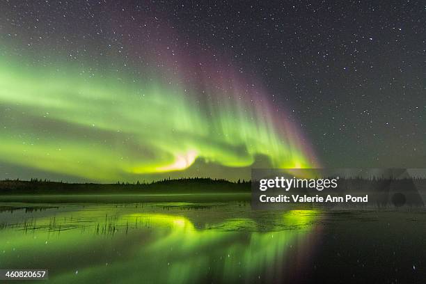 aurora reflection - yellowknife stock-fotos und bilder