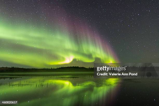 aurora reflection - yellowknife stock pictures, royalty-free photos & images