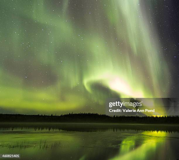 A Ror 81 Valerie Aurora Stock Photos, High-Res Pictures, and Images - Getty ...
