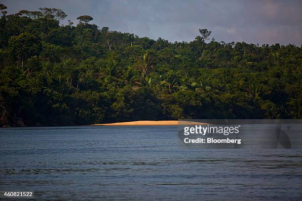 The Xingu River flows past the rain forest in the southern part of Amazonian state of Para, near Belo Monte, Brazil, on Thursday, Dec. 18, 2014. The...