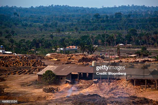 Timber is stacked in piles at a sawmill in Anapu, Brazil, on Thursday, Dec. 18, 2014. The rate of deforestation Brazil's Amazon rain forest dropped...