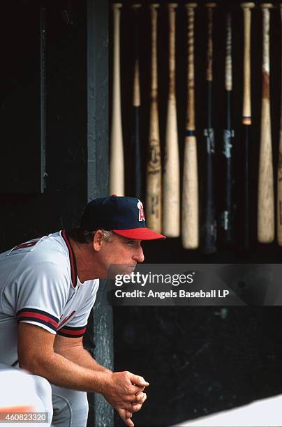 84 Doug Rader” Baseball Photos & High Res Pictures - Getty Images
