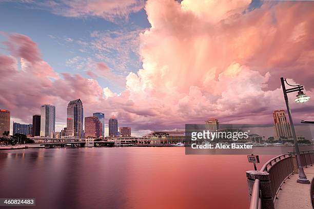 tampa bay city - tampa sunset stock pictures, royalty-free photos & images