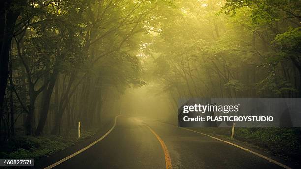 fog/road / curve - miyagi prefecture stock pictures, royalty-free photos & images