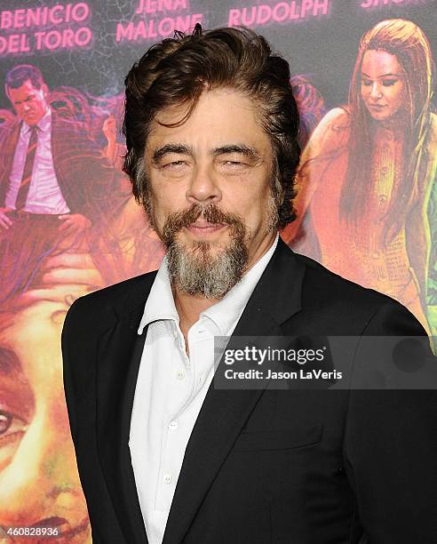 Actor Benicio del Toro attends the premiere of "Inherent Vice" at TCL Chinese Theatre on December 10, 2014 in Hollywood, California.