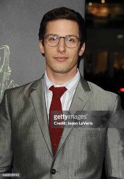 Actor Andy Samberg attends the premiere of "Inherent Vice" at TCL Chinese Theatre on December 10, 2014 in Hollywood, California.