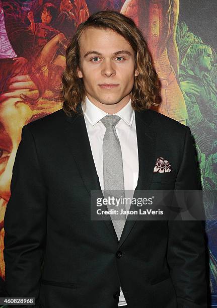 Actor Jordan Christian Hearn attends the premiere of "Inherent Vice" at TCL Chinese Theatre on December 10, 2014 in Hollywood, California.